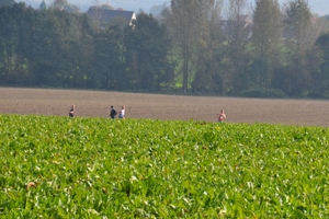 foto wordt ingeladen