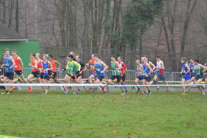 foto wordt ingeladen