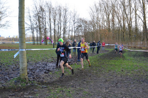 foto wordt ingeladen