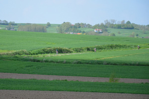 foto wordt ingeladen