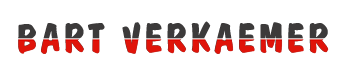 bart verkaemer